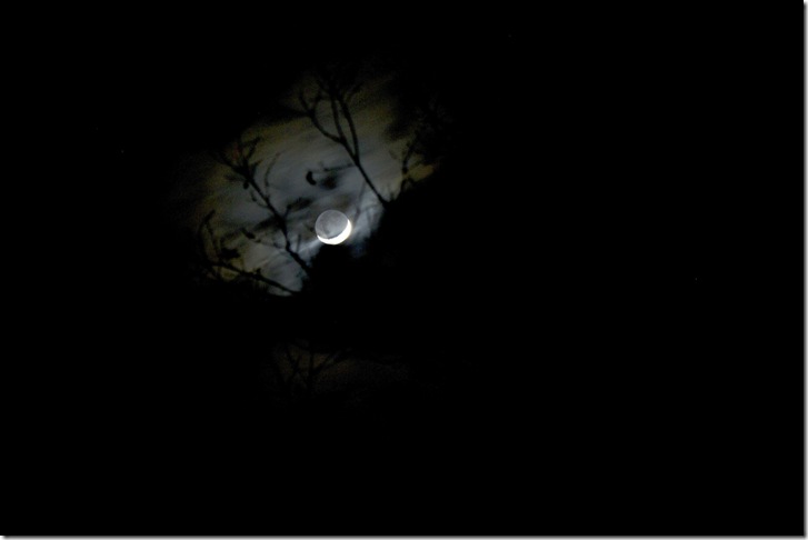 lumière2 cendree03022014