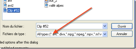 Voila_Capture579