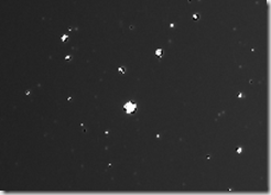 Image-0013