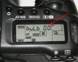 Image-0015