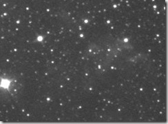 Image-0101
