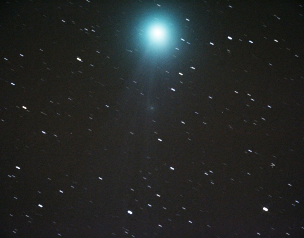 lovejoy2