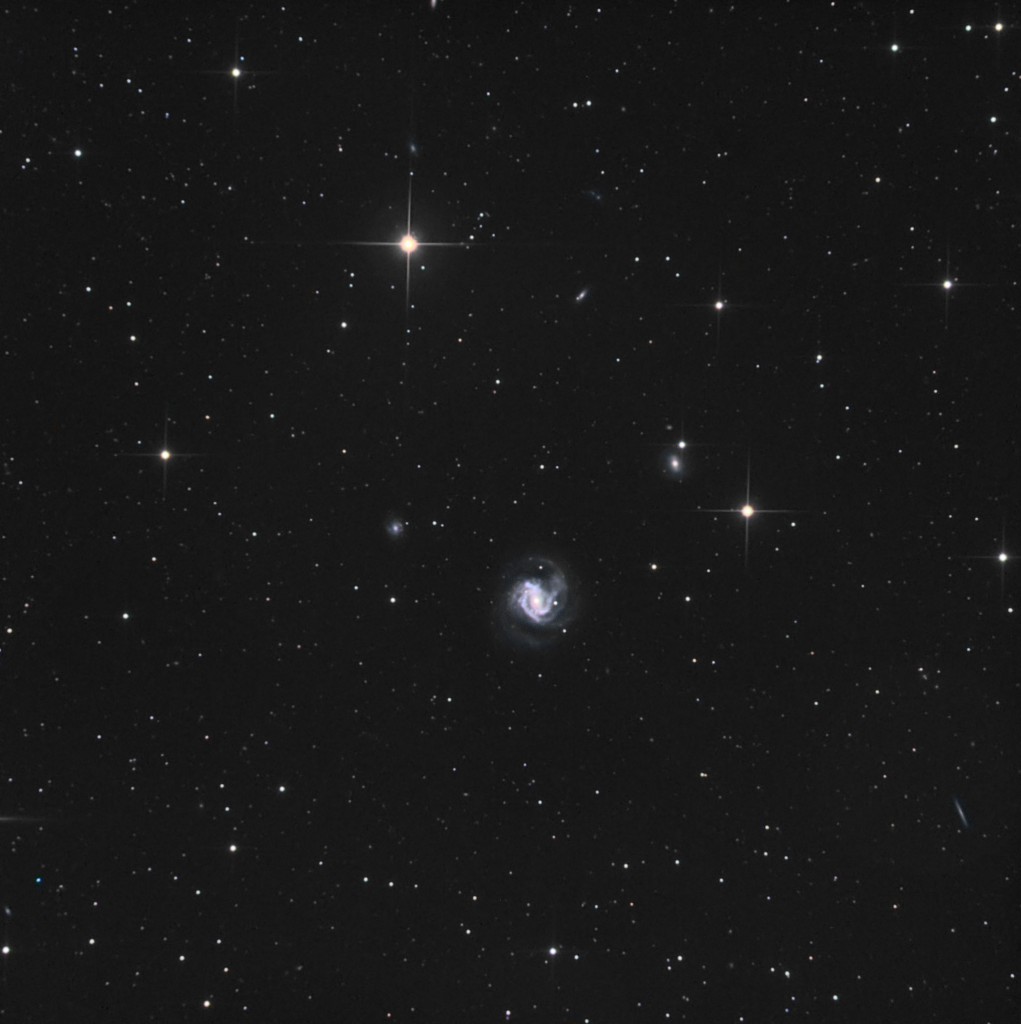 m61