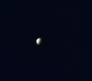 venus21041518hs