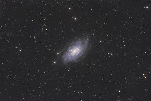 NGC 2403