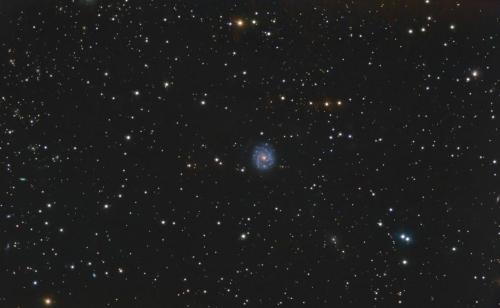 NGC 3631